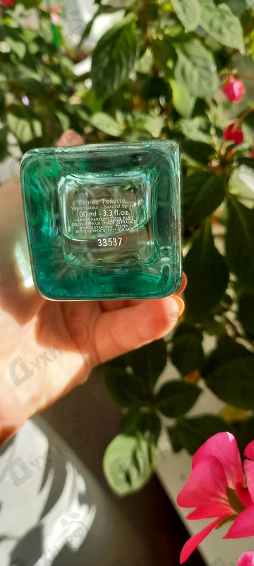 Купить Hermes Un Jardin Sur Le Nil