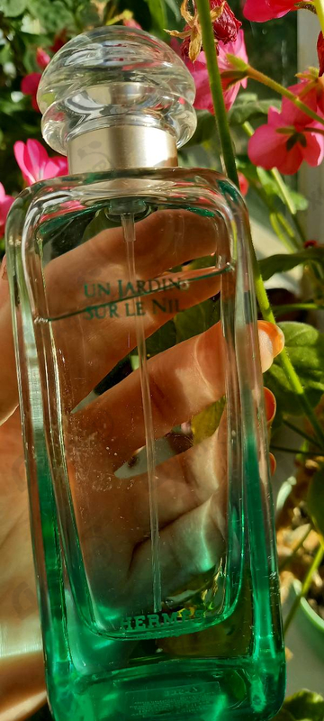 Купить Un Jardin Sur Le Nil от Hermes