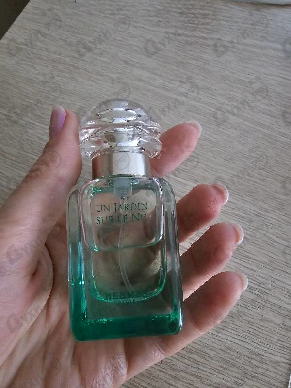 Купить Hermes Un Jardin Sur Le Nil