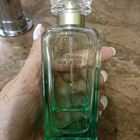 Отзыв Hermes Un Jardin Sur Le Nil