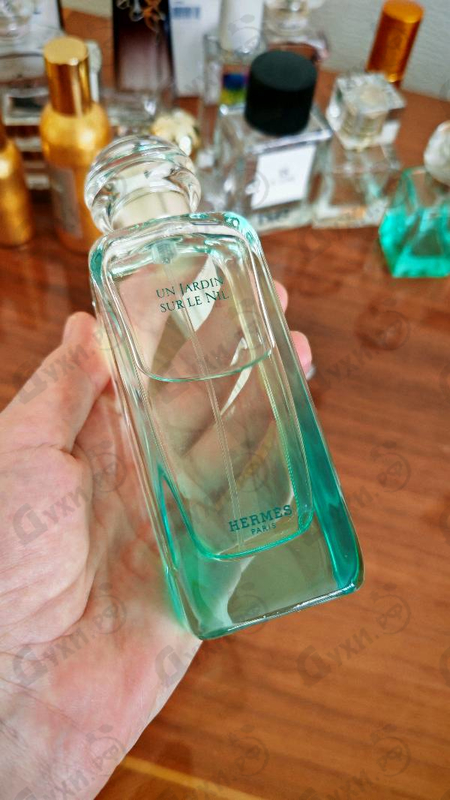 Отзыв Hermes Un Jardin Sur Le Nil