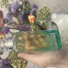 Отзыв Hermes Un Jardin Sur Le Nil