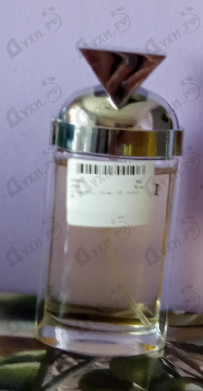 Купить Twice от Iceberg Отзыв Iceberg Twice