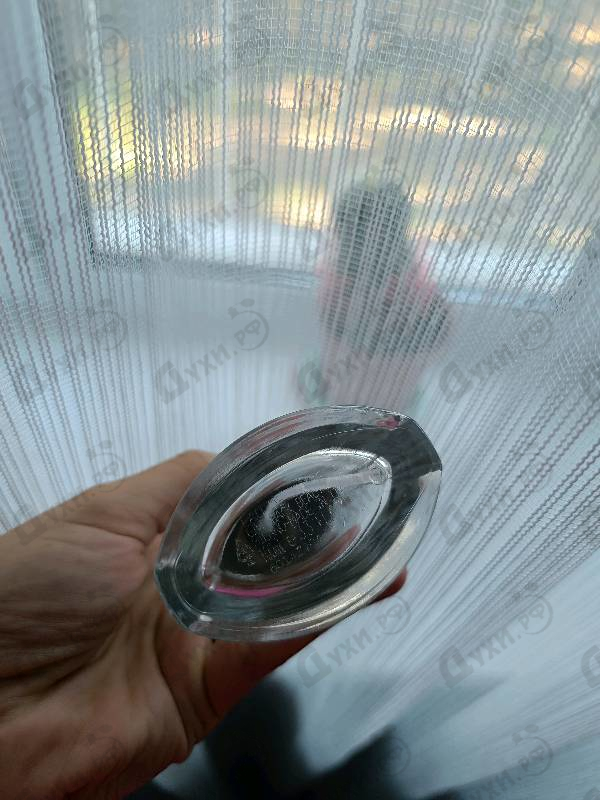 Духи Twice от Iceberg