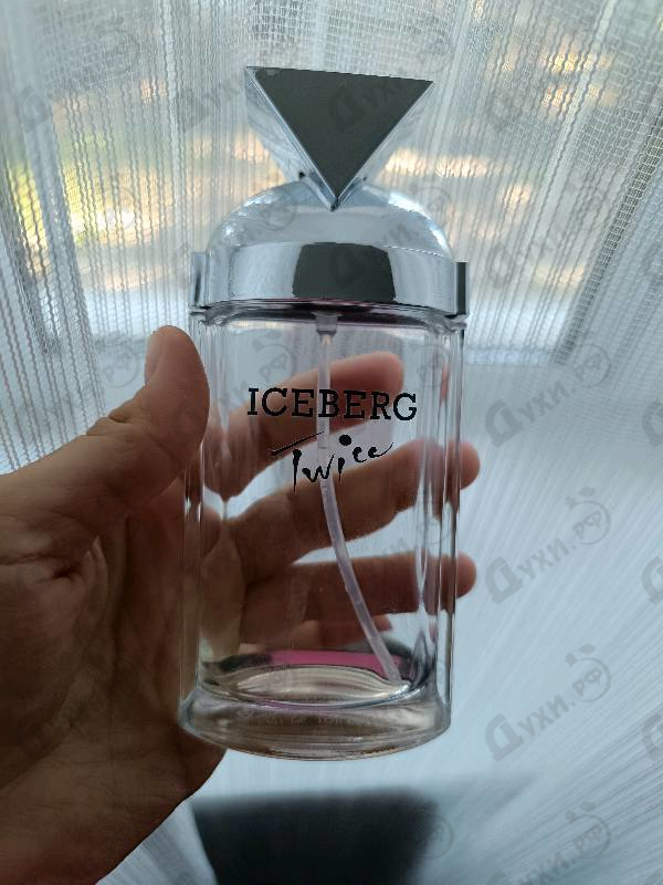 Купить Iceberg Twice