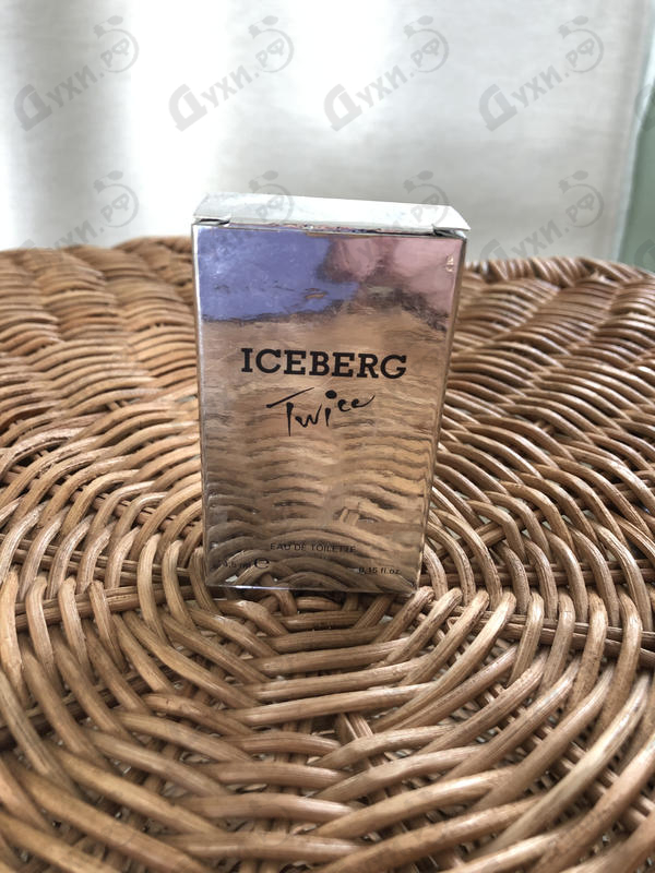 Купить Iceberg Twice