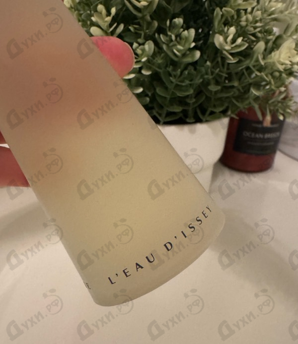 Купить L'eau D'issey от Issey Miyake
