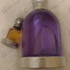 Духи Halloween от J. Del Pozo