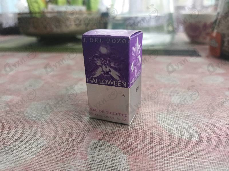 Купить Halloween от J. Del Pozo