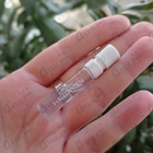 Отзыв J. Del Pozo Halloween