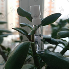 Отзывы J. Del Pozo Halloween