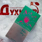 Отзыв J. Del Pozo Halloween Water Lilly