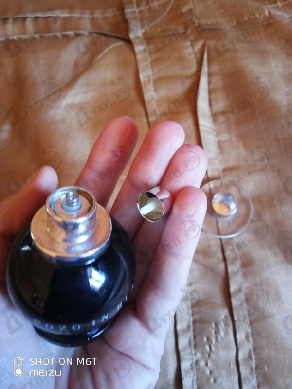 Купить In Black от J. Del Pozo