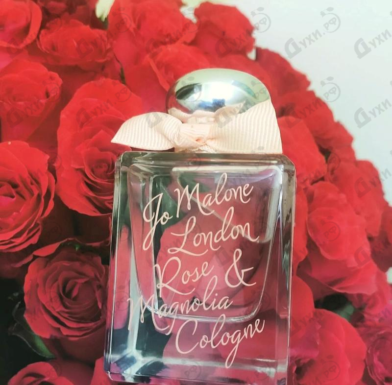 Отзывы Jo Malone Rose & Magnolia 2022 Купить Rose & Magnolia 2022 от Jo Malone