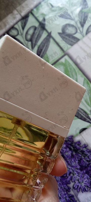 Купить Women от Jasper Conran
