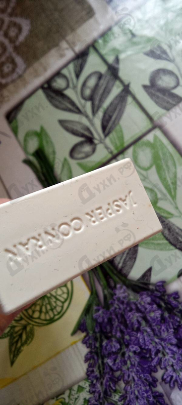 Отзывы Jasper Conran Women