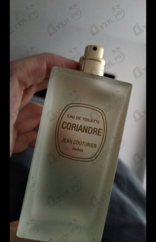 Купить Coriandre от Jean Couturier