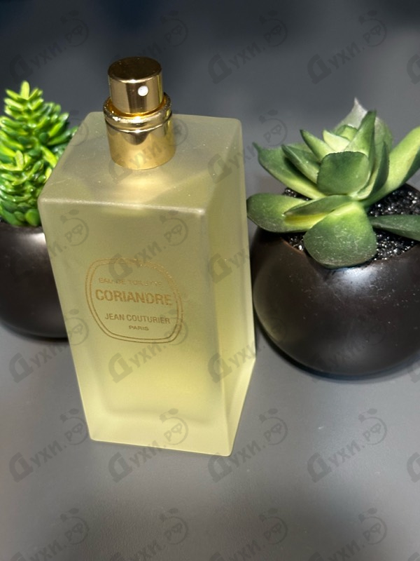 Отзывы Jean Couturier Coriandre