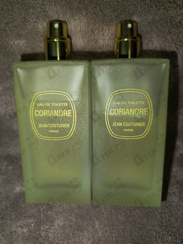 Купить Coriandre от Jean Couturier