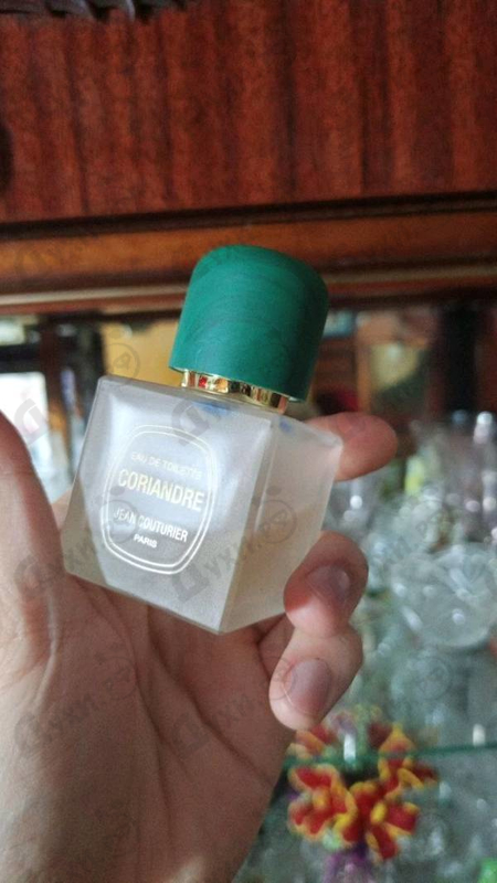 Купить Coriandre от Jean Couturier