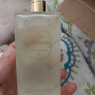 Отзывы Jean Couturier Coriandre