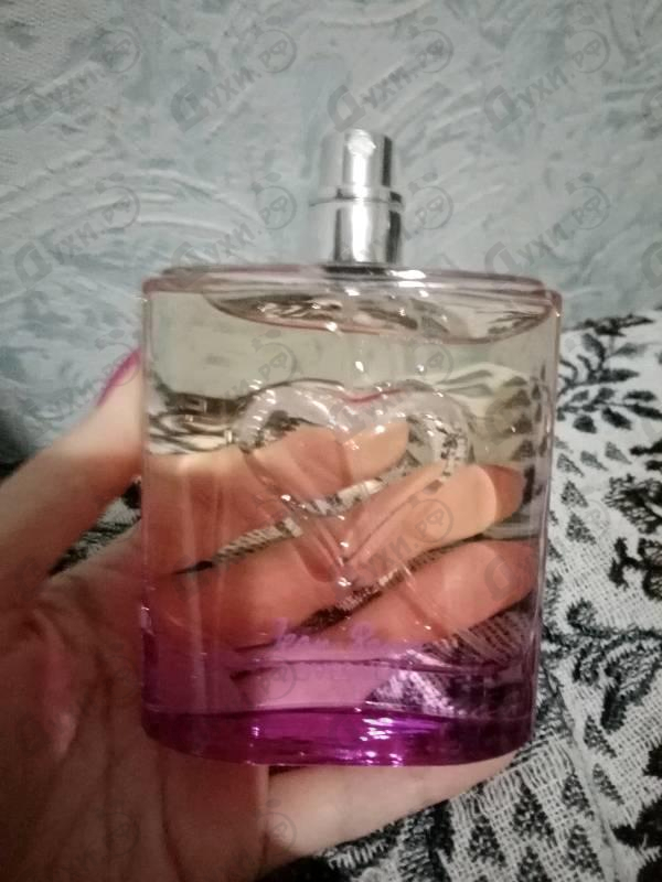 Парфюмерия Jean Reno Loves You Купить Loves You от Jean Reno