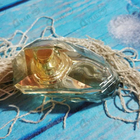 Духи Deseo от Jennifer Lopez