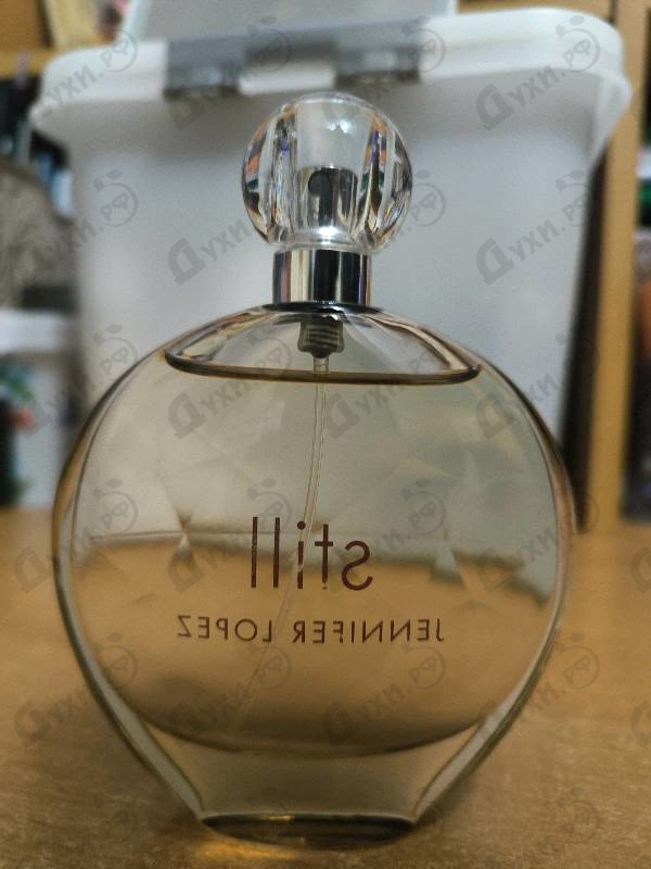 Парфюмерия Still от Jennifer Lopez