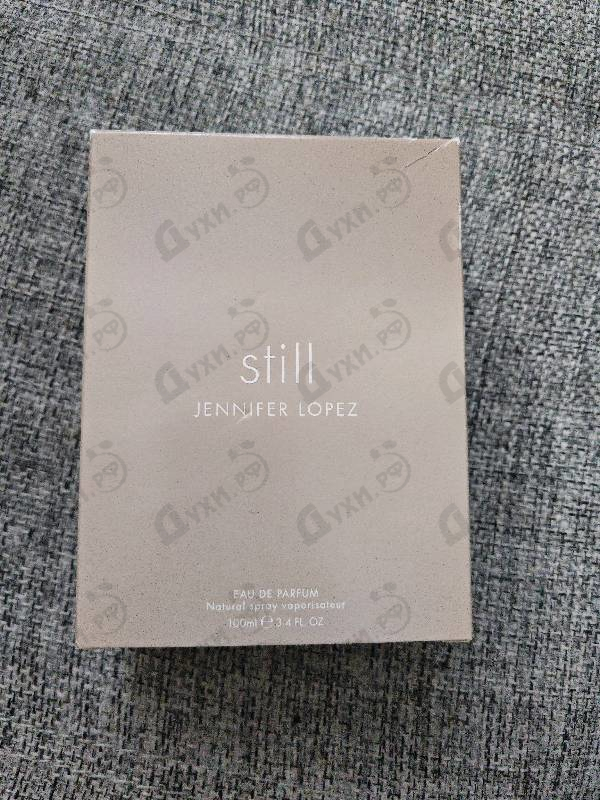 Купить Still от Jennifer Lopez