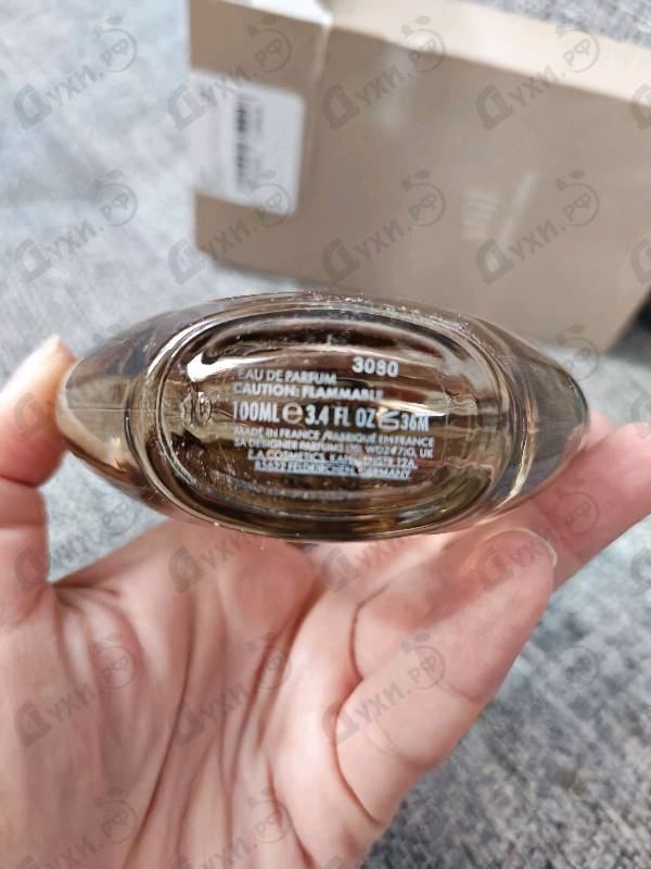 Парфюмерия Still от Jennifer Lopez