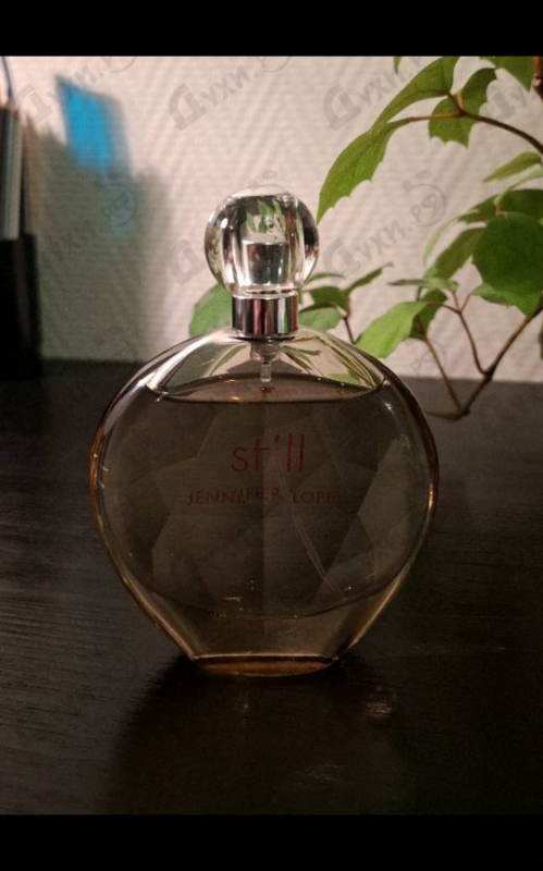 Отзывы Jennifer Lopez Still