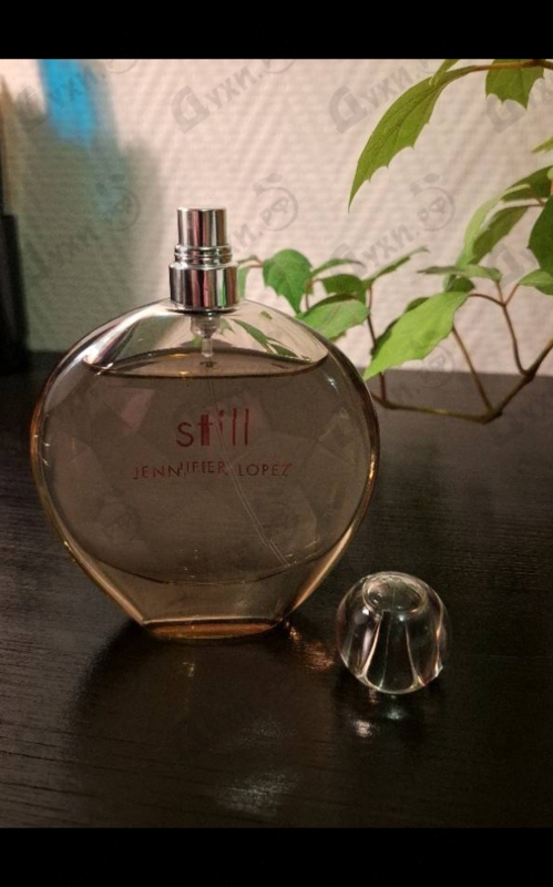 Купить Jennifer Lopez Still