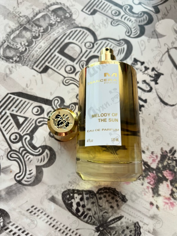 Купить Melody Of The Sun от Mancera