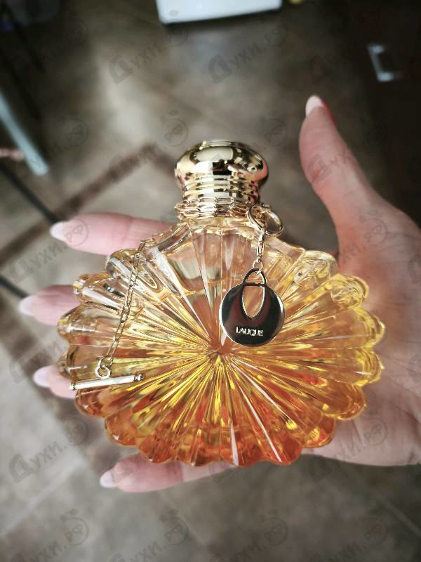 Купить Soleil Vibrant от Lalique