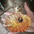 Купить Soleil Vibrant от Lalique