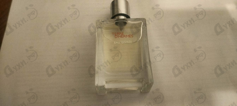 Купить Hermes Terre D'Hermes Eau Givree