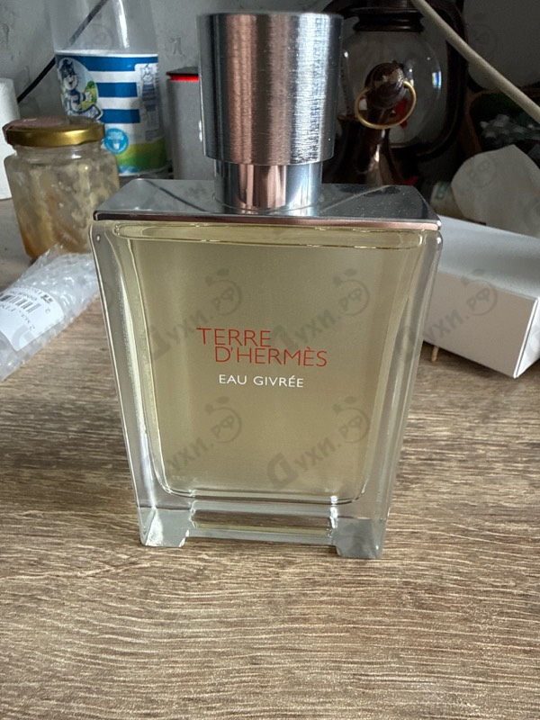 Купить Hermes Terre D'Hermes Eau Givree