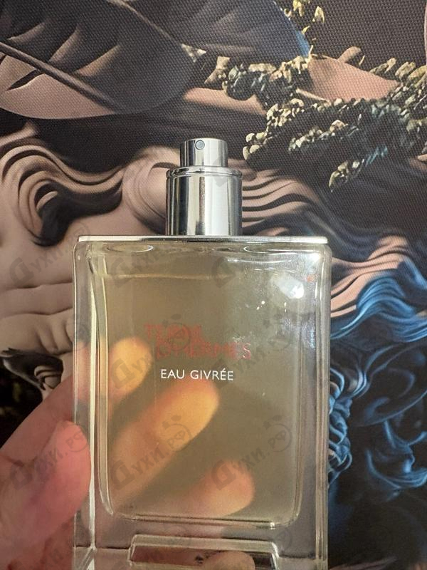 Купить Hermes Terre D'Hermes Eau Givree