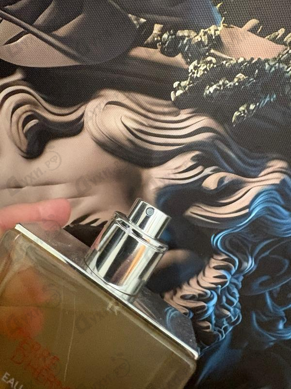 Купить Hermes Terre D'Hermes Eau Givree