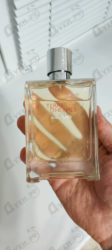 Отзыв Hermes Terre D'Hermes Eau Givree