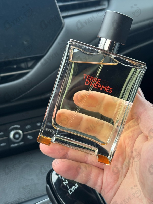 Отзывы Hermes Terre D'Hermes Eau Givree