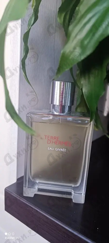 Парфюмерия Terre D'Hermes Eau Givree от Hermes