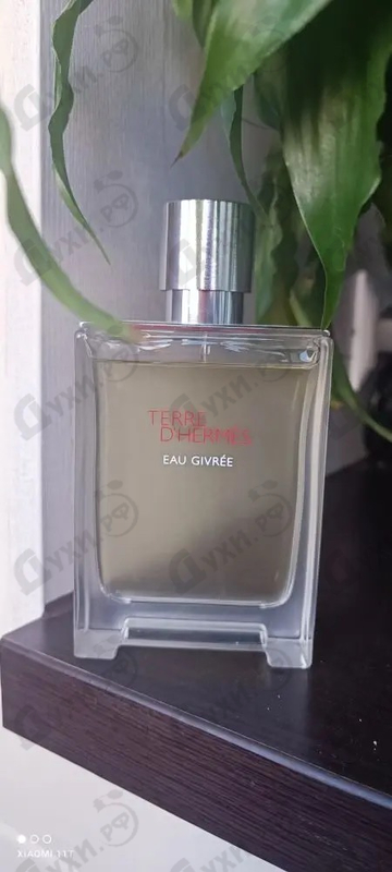 Купить Terre D'Hermes Eau Givree от Hermes