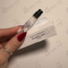 Отзывы Guerlain Musc Outreblanc