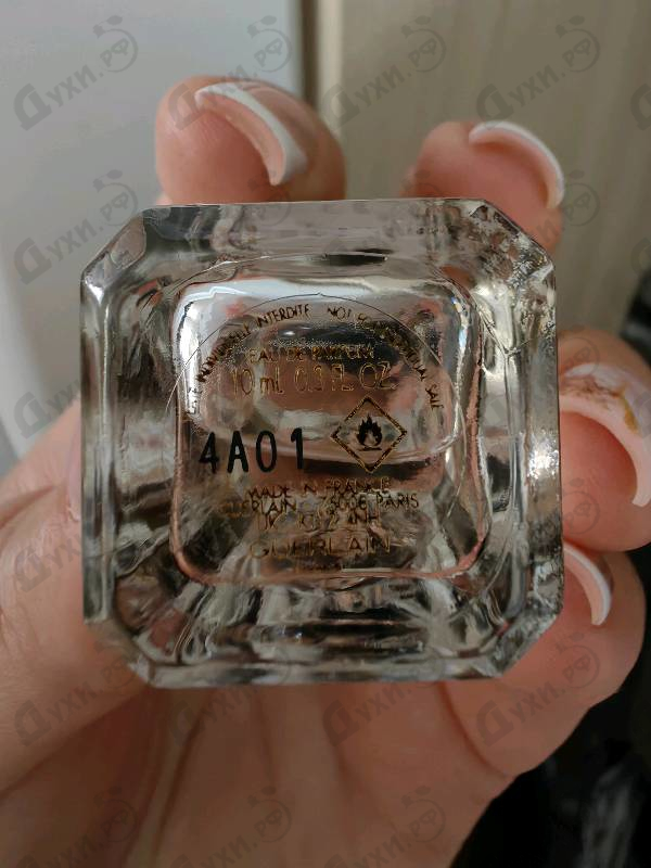Парфюмерия Musc Outreblanc от Guerlain