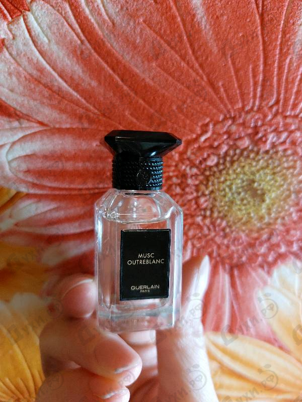 Духи Musc Outreblanc от Guerlain
