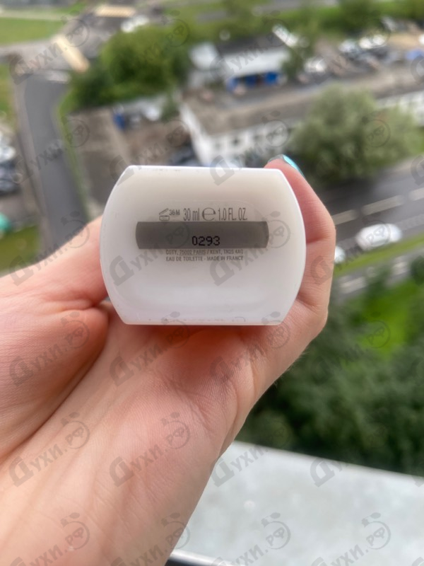 Отзыв Jil Sander Sun