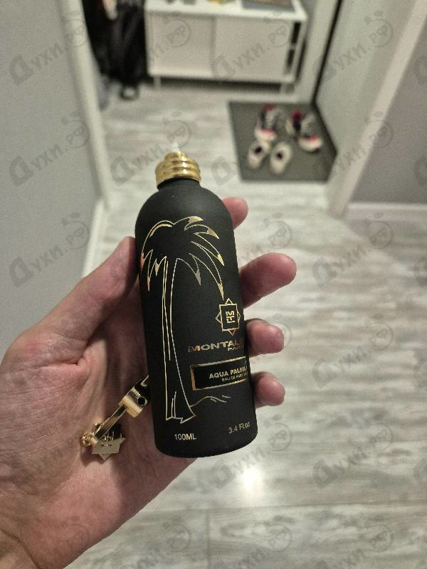 Отзывы Montale Aqua Palma