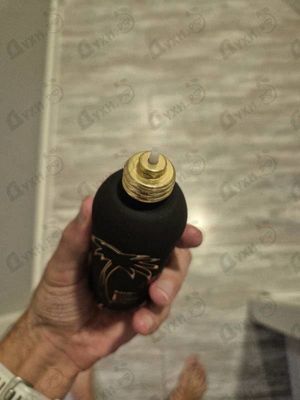 Парфюмерия Aqua Palma от Montale