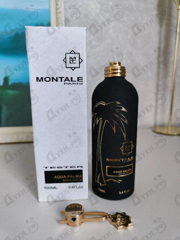 Отзывы Montale Aqua Palma